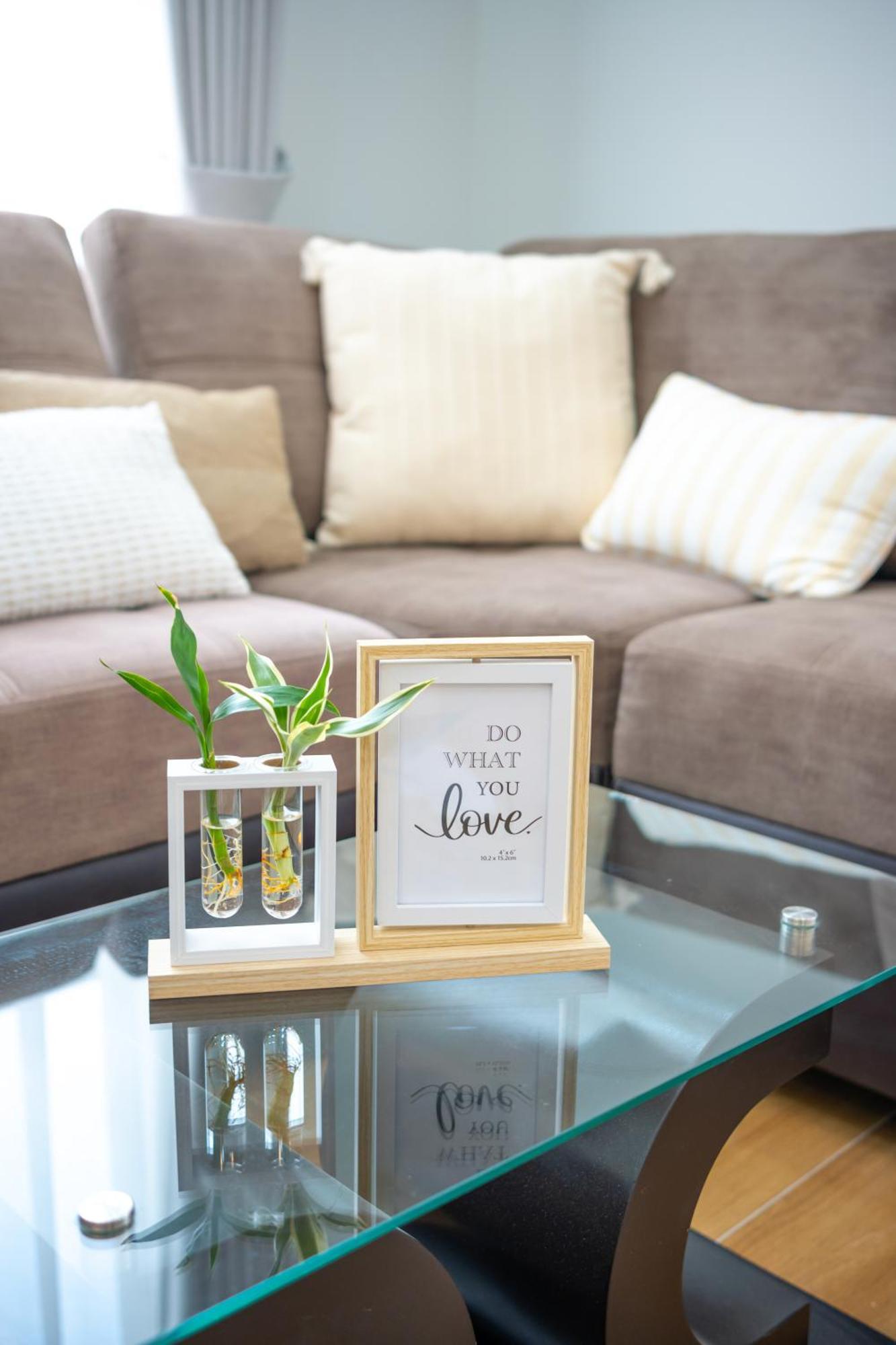 Serenia Apartment *